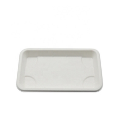 Sugarcane Trays Disposable Biodegradable Compostable Eco Sushi Box