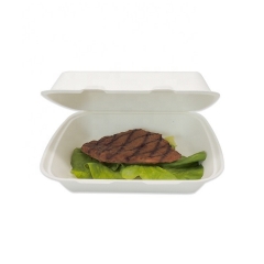 Simple and smooth disposable clamshell biodegradable sugarcane Lunch box