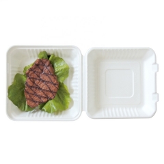 portable biodegradable sugarcane dinnerware box