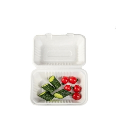 Take Away 2 Compartment Custom Food Packaging Sugarcane Bagasse Food Container