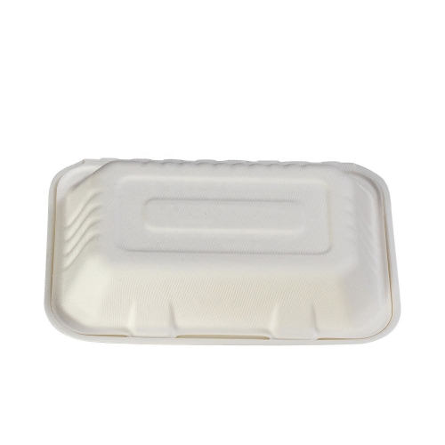 Take Away 2 Compartment Custom Food Packaging Sugarcane Bagasse Food Container