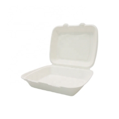 Simple and smooth disposable clamshell biodegradable sugarcane Lunch box