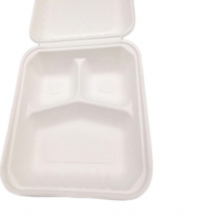Hot Selling Disposable Biodegradable Sugarcane Food Storage Container
