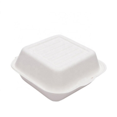 Caja biodegradable de la caña de azúcar del bagazo compostable disponible caliente de la venta