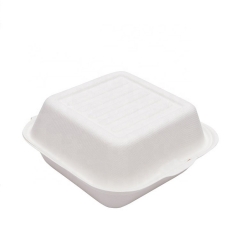 Boîte à déjeuner biodégradable biodégradable de haute qualité compostable de canne à sucre de haute qualité