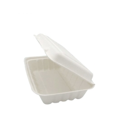 Eco take away food containers disposable biodegradable sugarcane bagasse lunch box