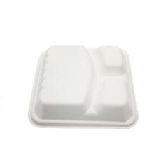Envase de comida disponible de la pulpa del bagazo de la caña de azúcar de la caja de empaquetado blanca respetuosa del medio ambiente