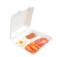 무료 샘플 테이크아웃 사탕수수 생분해성 식품 용기 상자