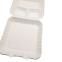 Hot Selling Disposable Biodegradable Sugarcane Food Storage Container