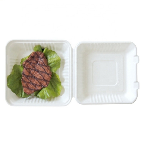 Boîte de hamburger compostable biodégradable de bagasse de 6 pouces de ventes chaudes pour la vente en gros
