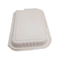 Eco-friendly fast food packaging biodegradable 2 compartment sugarcane food box