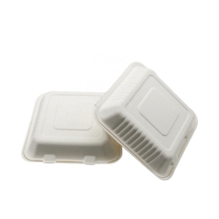 Naturally Organic Compostable Bagasse Pulp Food Container Box