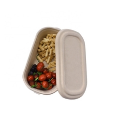 Recipiente biodegradável de caixa para alimentos com bagaço descartável de alta qualidade