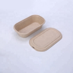 High Quality Disposable Bagasse Food Box Biodegradable Container