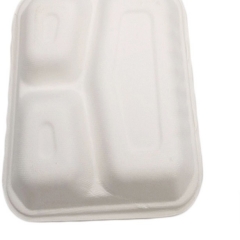 Microwaveable disposable compostable sugarcane food container for packaging food