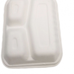 factory wholesale biodegradable sugarcane bagasse food container