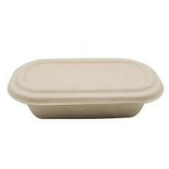 Factory price biodegradable disposable 2 compartment food container bagasse compartment box