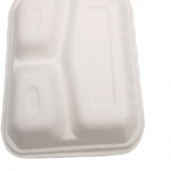 Biodegradabile monouso di vendita caldoContenitore per alimenti in canna da zucchero