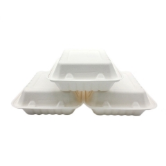 Conteneur jetable de nourriture jetable de pulpe de bagasse de canne à sucre de boîte d'emballage blanche qui respecte l'environnement