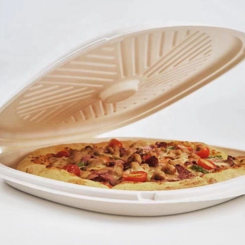 Eco-friendly Disposable Sugarcane Clamshell White Pizza Packing Box