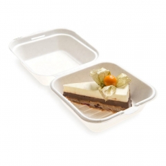 Boîte de canne à sucre biodégradable de bagasse compostable jetable de vente chaude