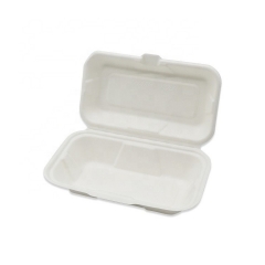 Eco-friendly disposable sugarcane pulp lunch box carrier for takeaway