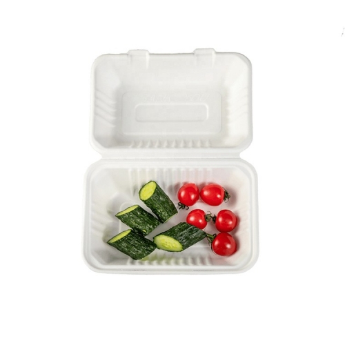 खाद्य ग्रेड बायोडिग्रेडेबल दो डिब्बे गन्ना खोई खाद्य लंच बॉक्स