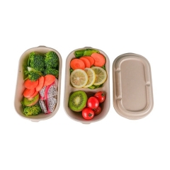 High Quality Disposable Bagasse Food Box Biodegradable Container