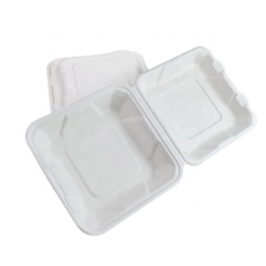 Hot Sale Pulpe de canne à sucre Déjeuner compostable Boîte à pizza à clapet en bagasse