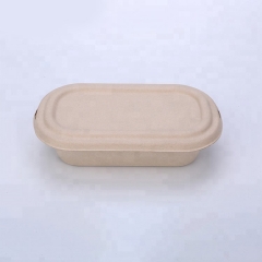 Conteneur biodégradable de boîte de nourriture de bagasse jetable de haute qualité