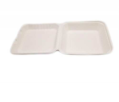 Food Grade Biodegradable Sugarcane Disposable Container Food Packaging Box