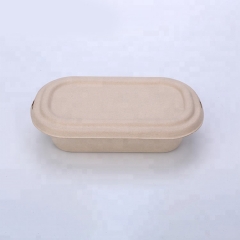 Vaisselle écologique d'emballage de boîte de pâte de bagasse de vente chaude