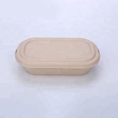 Hot Sell Bagasse Pulp Eco Friendly Box Packaging Tableware