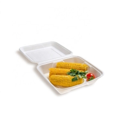 Caja biodegradable de la caña de azúcar del bagazo compostable disponible caliente de la venta