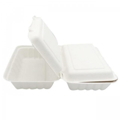 Eco-Friendly biodegradable packing box disposable sugarcane pulp food container for restaurant