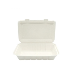 Eco take away food containers disposable biodegradable sugarcane bagasse lunch box