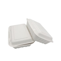 Eco-Friendly biodegradable packing box disposable sugarcane pulp food container for restaurant