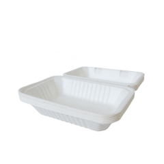 Boîte à aliments compostables à emporter contenants jetables pour aliments à base de canne à sucre