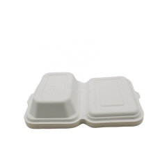 Disposable Biodegradable Bagasse Takeout Food Packaging Container