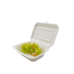 Disposable Biodegradable Bagasse Takeout Food Packaging Container