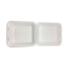 Boîte de nourriture compostable de canne à sucre Conteneur de nourriture compostable de bagasse