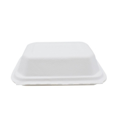 Decomposable Pulp Container Take Away Bagasse Food Lunch Box with Lid