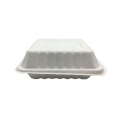 Boîte de nourriture compostable de canne à sucre Conteneur de nourriture compostable de bagasse