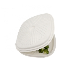 Caixa descartável de bagaço descartável para caixa biodegradável de concha de alimentos