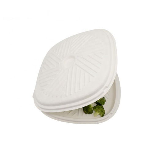 Boîte jetable de bagasse jetable pour la boîte biodégradable de coquille de nourriture