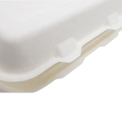 disposable takeaway food container biodegradable