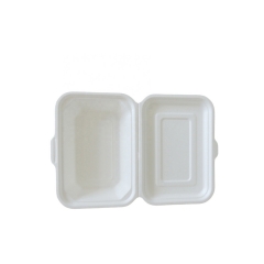 Disposable Biodegradable Bagasse Takeout Food Packaging Container