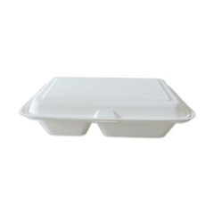 Decompostable Square Pulp Lunch Box Take Away Bagasse Food Container