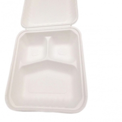 Biologisch abbaubares Einweg Lebensmittelverpackungs Bagasse Geschirr Umweltfreundlicher Dinner Container