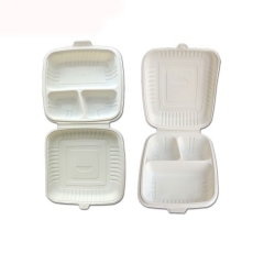 Current hot-selling eco-friendly disposable office food container